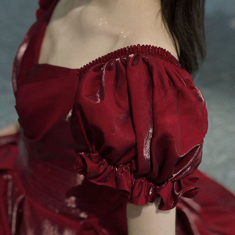 Evening Dress Red Bridal Toast - Women'S Formal Dinner Wear recension och pris