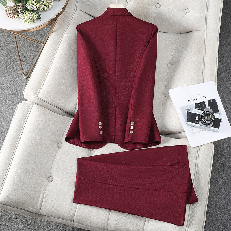 Autumn Winter Ladies Pant Suit - Formal Winter Wear Women Jacket recension och pris
